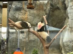 -香港海洋公园
