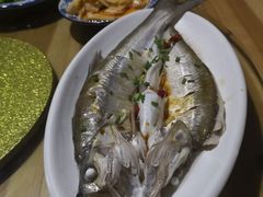 清蒸白鱼-喜洋洋蟹庄(阳澄湖店)