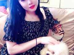 -more than meow吴止猫主题餐厅(承德 中船汇店)