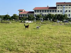 -上海国际越野赛车场