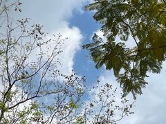 -重庆彩云湖湿地公园