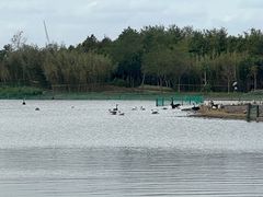 -东滩湿地公园观海楼餐厅