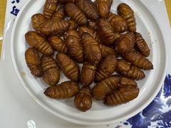 -月见草(金苑华城店)