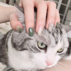 -TsukiNail艺术美甲美睫沙龙