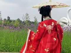 -东郊湿地公园