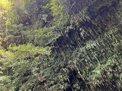 -海口火山口国家地质公园