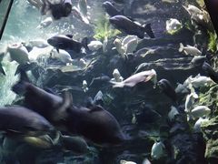 -成都浩海立方海洋公园