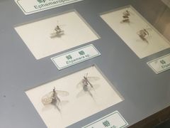 -上海昆虫博物馆