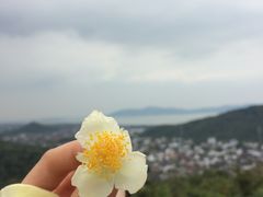 -缥缈峰景区