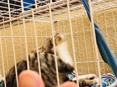 -逃脱反斗城沉浸剧情密室(北京路店)