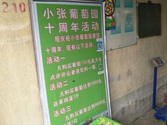 -马陆小张葡萄园农家乐