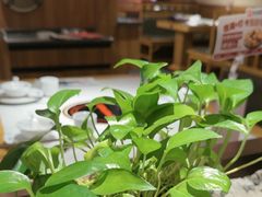-老阿爸鲜鱼土菜(独墅湖店)