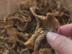 蘑菇-缘福乡村铁锅炖民宿(八达岭店)