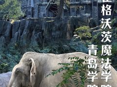 -青岛森林野生动物世界