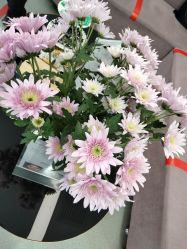 点击看大图 -联合丽格·张菡丽格医疗美容