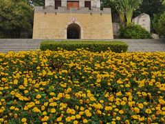 -深圳国际园林花卉博览园