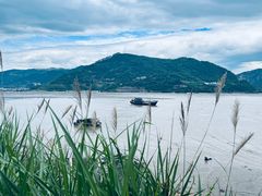 -北岐滩涂