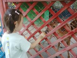 -萌宠亲子动物乐园(槐房万达店)