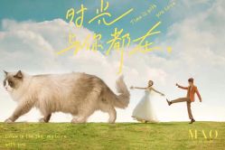 -MAO亲爱的猫婚纱摄影工作室