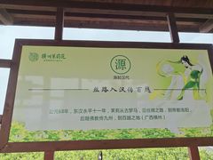 -中华茉莉园