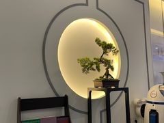 -席仁堂推拿按摩脊柱调理(世纪科贸大厦店)