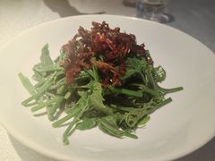 炝油黑皮鸡枞拌麦瓜尖-云腾食府·云南菜
