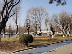 -莱西月湖公园