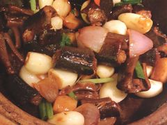 -大榕树下顺德菜(融创茂店)
