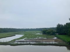 -溱湖国家湿地公园