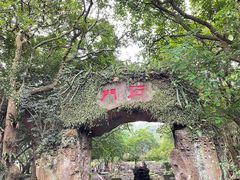 -海口火山口国家地质公园