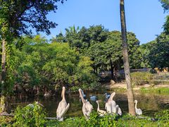 -深圳野生动物园