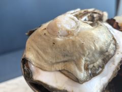 -半岛听涛蒸汽海鲜自助(K11店)