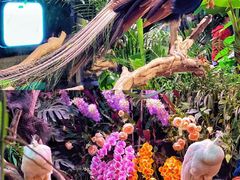-正佳雨林生态植物园