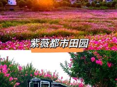 -武汉紫薇都市田园