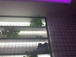 -泽璞堂美发沙龙