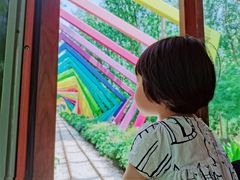 -合肥滨湖国家森林公园