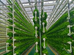 -兰陵国家农业公园