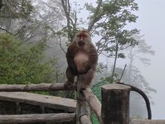 -峨眉山风景名胜区