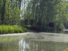 -溱湖国家湿地公园