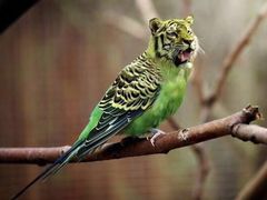 -徐州博顿温德姆酒店(高铁东站店)