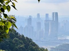-南山植物园