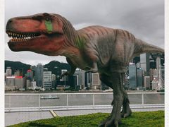 -海港城
