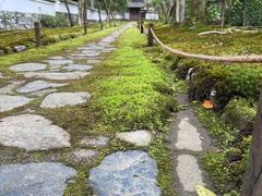 -西芳寺(苔寺)