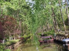 -合肥滨湖国家森林公园