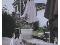 -树山生态村