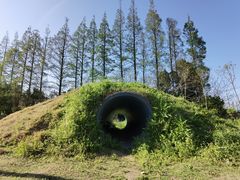 -前小桔亲子创意农场·草莓采摘·露营烧烤