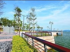 -深圳湾公园(南山区)