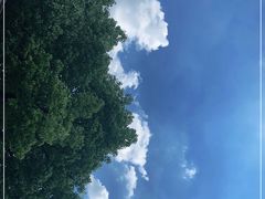 -乌镇东栅景区