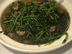 -丰收日(五角场店)