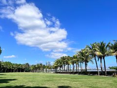 -深圳湾公园(南山区)